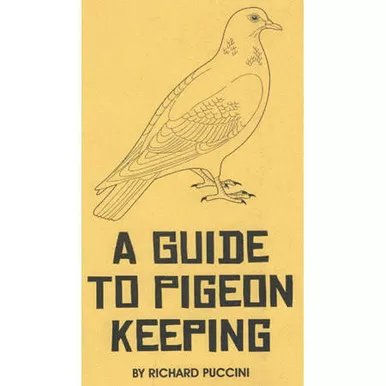 guide-to-pigeon-keeping A Guide to Pigeon Keeping