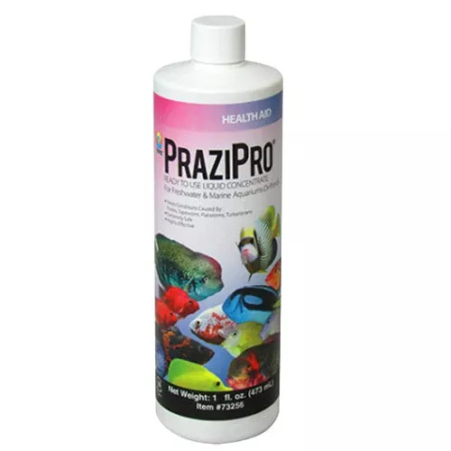 hikari-prazipro-1oz Hikari Prazipro 1oz