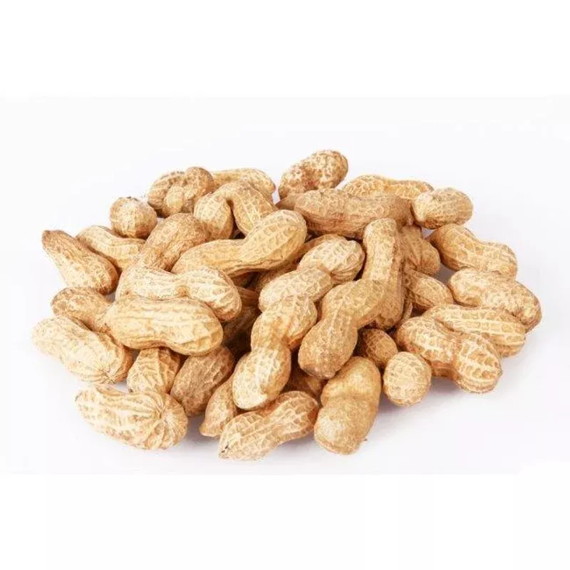 johnston-jeff-monkey-nuts-in-shells-22lb Johnston & Jeff Monkey Nuts in Shells 22lb