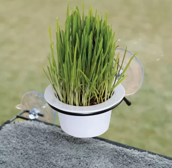 k-h-ez-mount-cat-grass-grow-station K&H - EZ Mount Cat Grass Grow Station