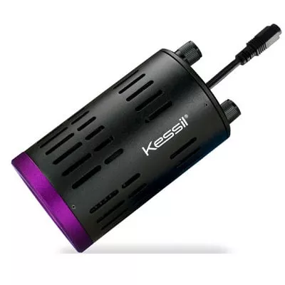 kessil-h160-tuna-flora Kessil H160 Tuna Flora