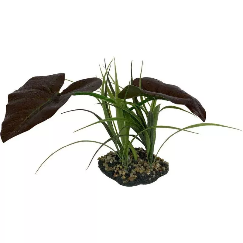 komodo-rainforest-canopy-plant-1ea-10-in Komodo Rainforest Canopy Plant 1ea/10 in