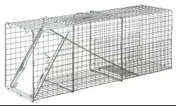 little-giant-single-door-live-animal-trap Little Giant Single Door Live Animal Trap