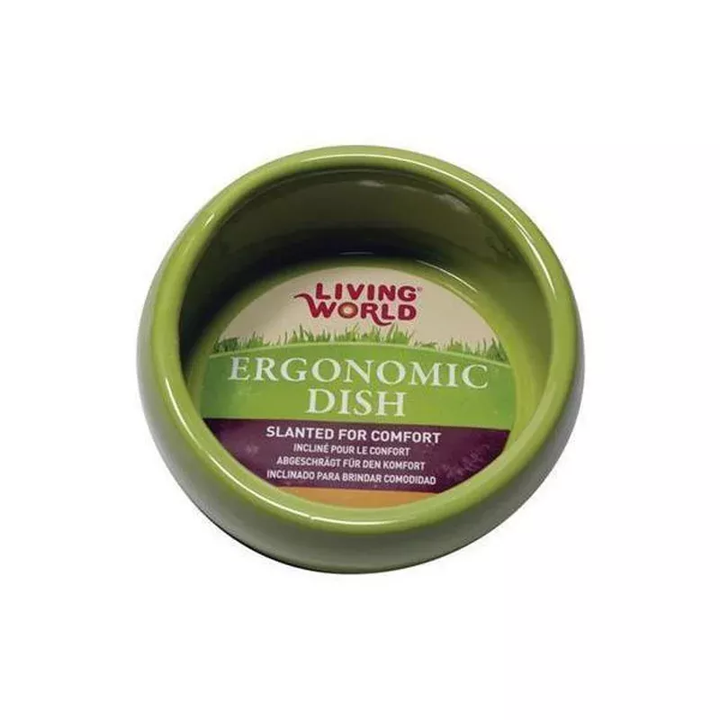 living-world-ergonomic-small-animal-small-ceramic-dish-green Living World Ergonomic Small Animal Small Ceramic Dish Green