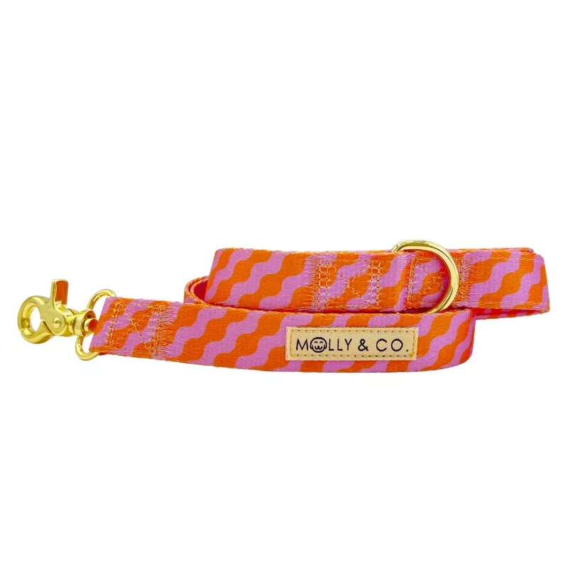 mango-dog-leash Mango – Dog Leash