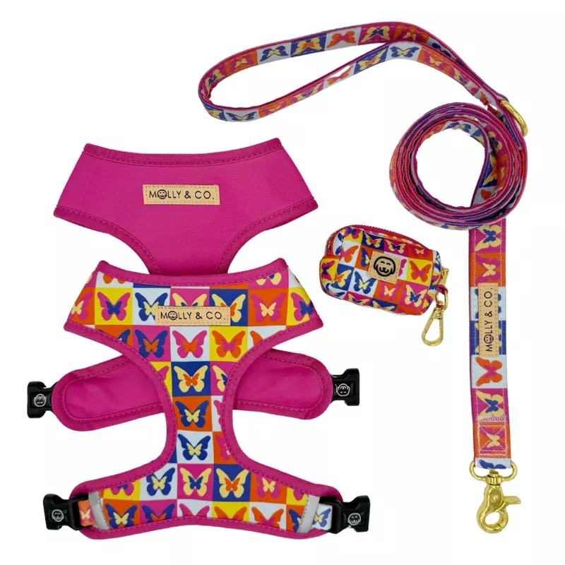 mariposa-walking-bundle Mariposa – Walking Bundle