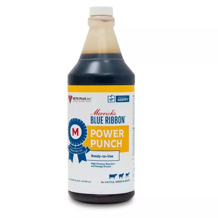 merrick-s-blue-ribbon-power-punch Merrick's Blue Ribbon Power Punch
