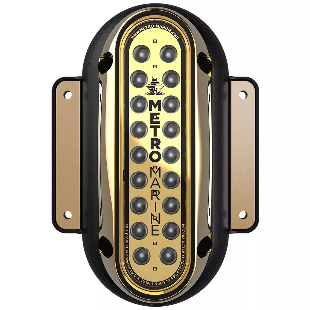 Metro Marine High-Output Vertical Surface Mount Light w/Intelligent Monochromatic LEDs – Blue, 45 Beam [F-SME1-V-B3-45]