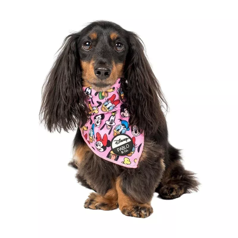 mickey-friends-pink-dog-bandana Mickey & Friends – Pink: Dog Bandana