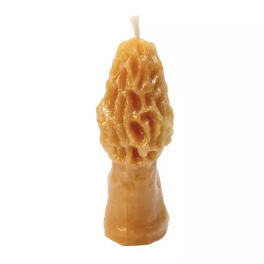 morel-mushroom-beeswax-candle-mold Morel Mushroom Beeswax Candle Mold