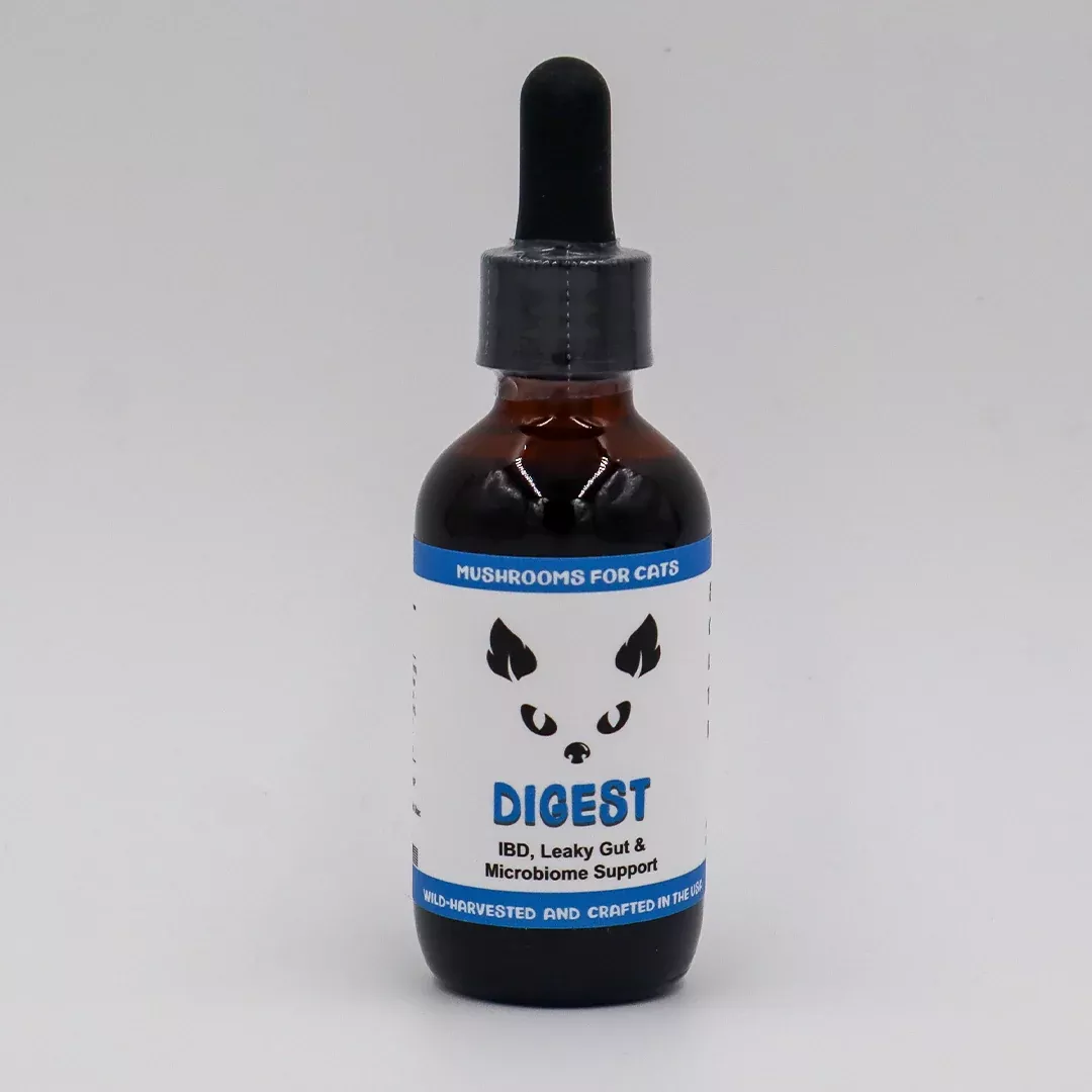 mycocat-digest-mushroom-extract-adaptogen-tincture MycoCat | Digest- Mushroom Extract & Adaptogen Tincture