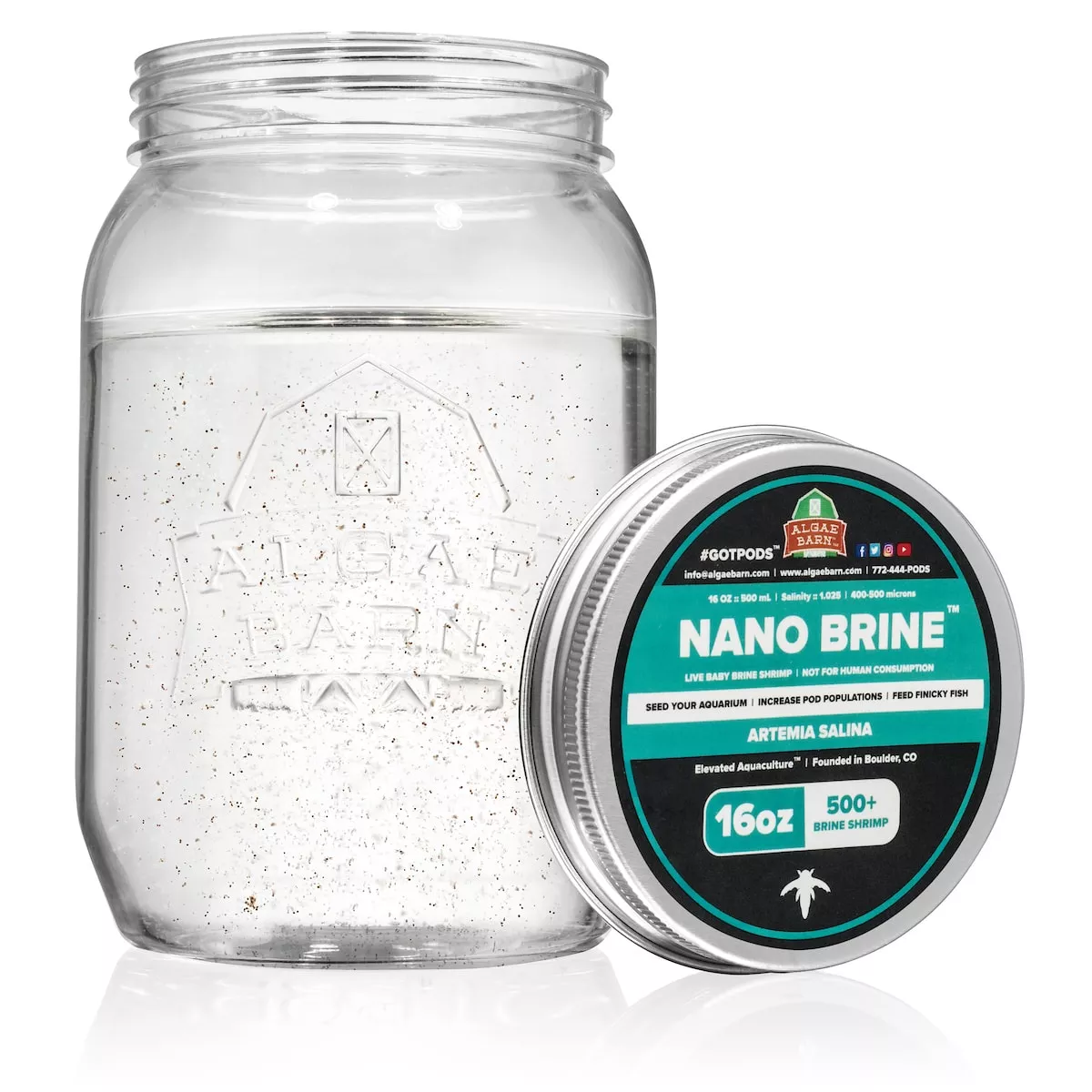 nano-brine-shrimp Nano Brine Shrimp