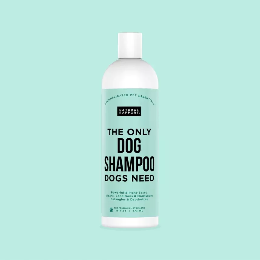Natural Rapport The Only Dog Shampoo Dogs Need