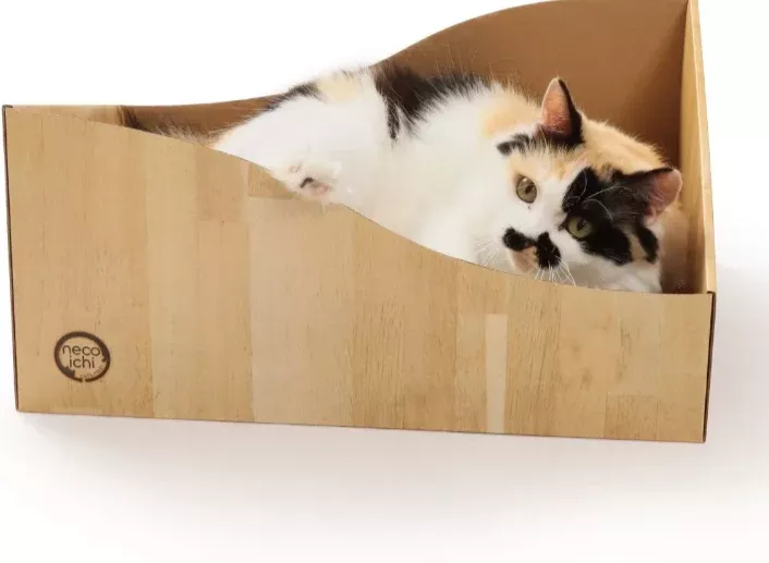 necoichi-hideaway-cat-scratched-oak-box Necoichi - Hideaway Cat Scratched Oak Box