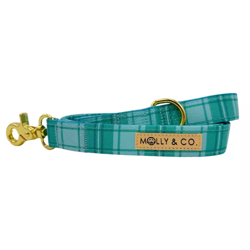 northern-lights-plaid-dog-leash-final-sale Northern Lights Plaid – Dog Leash – FINAL SALE