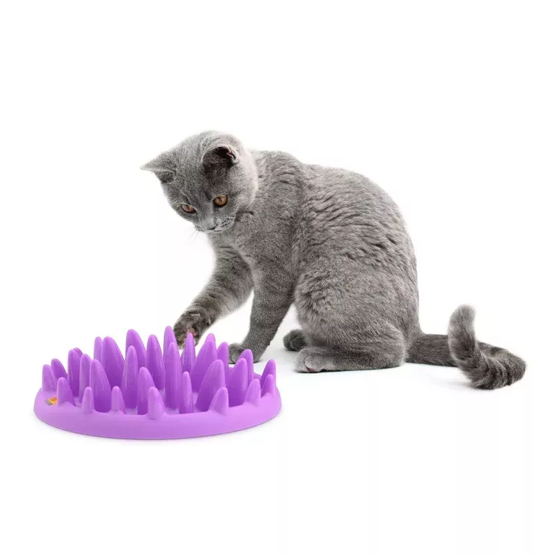 Northmate Catch Interactive Cat Feeder