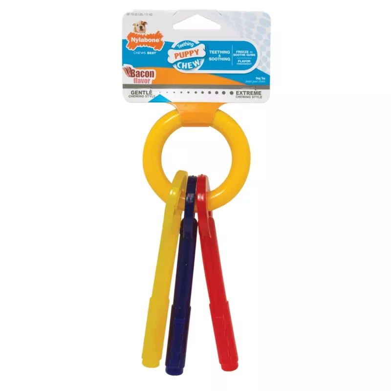 nylabone-puppy-teething-chew-keys Nylabone Puppy Teething Chew Keys