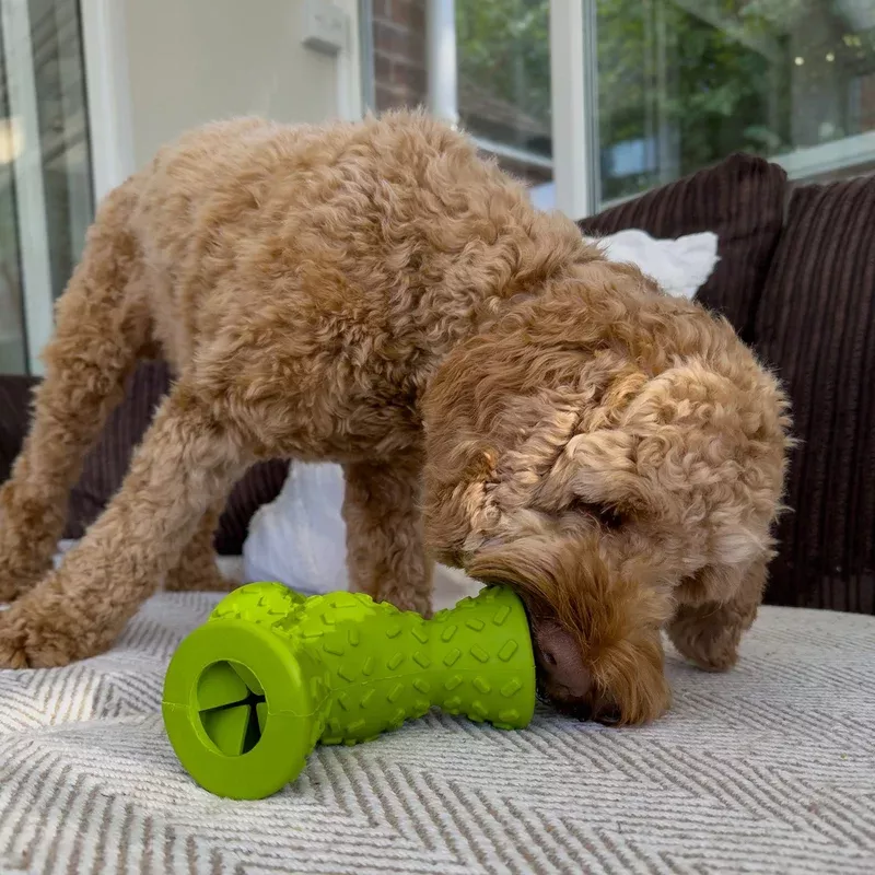 orva-treaty-triangle-ancol-dog-toy ORVA Treaty Triangle ANCOL Dog Toy