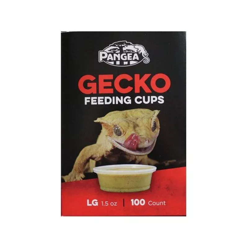 pangea-large-gecko-feeding-cups-100ct Pangea Large Gecko Feeding Cups – 100ct