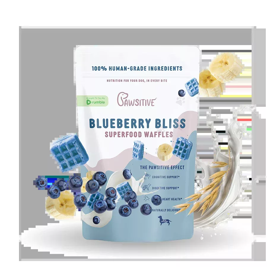 pawsitive-superfood-waffles Pawsitive | Superfood Waffles