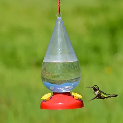 perky-pet-dew-drop-plastic-hummingbird-feeder-32-oz-nectar-capacity Perky-Pet Dew Drop Plastic Hummingbird Feeder - 32 oz Nectar Capacity