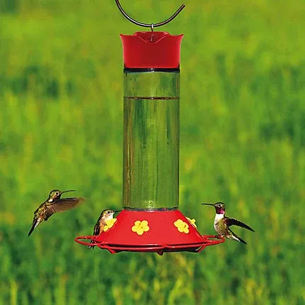 perky-pet-glass-hummingbird-feeder Perky-Pet Glass Hummingbird Feeder