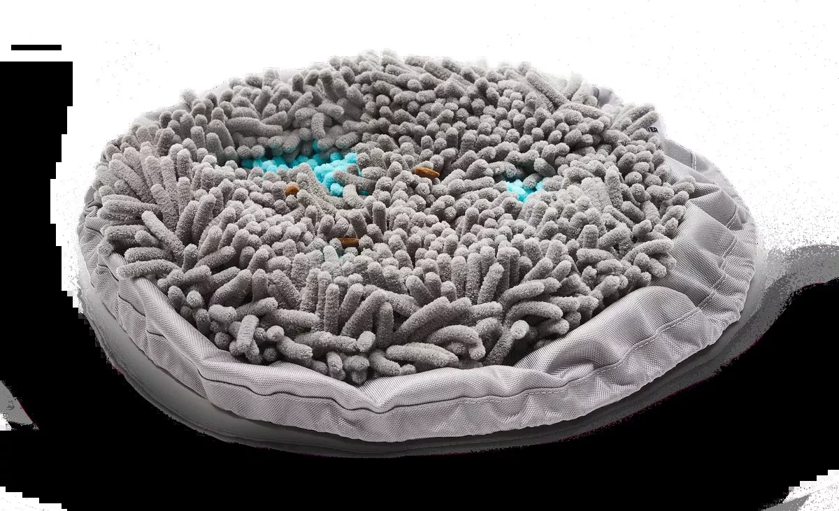 pet-parents-forager-bowl Pet Parents - Forager Bowl
