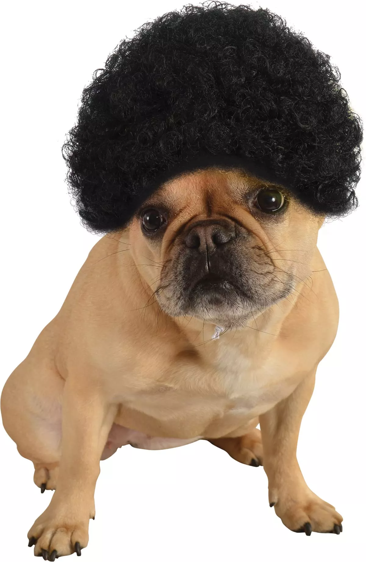 Pets Black Curly Afro Wig Costume Accessory