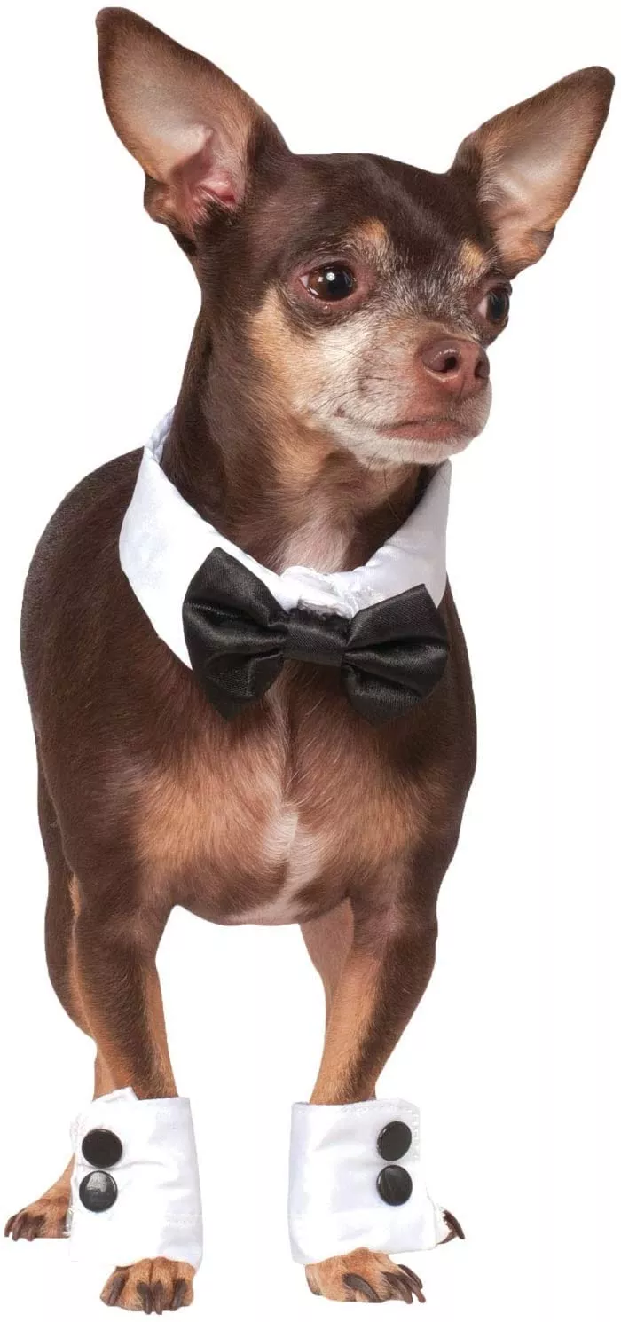 pets-bowtie-collar-cuff-accessory-set Pets Bowtie, Collar, and Cuff Accessory Set