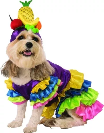 pets-brazilian-bombshell-carmen-miranda-costume Pets Brazilian Bombshell Carmen Miranda Costume