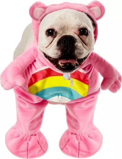 pets-care-bears-cheer-bear-costume Pets Care Bears Cheer Bear Costume