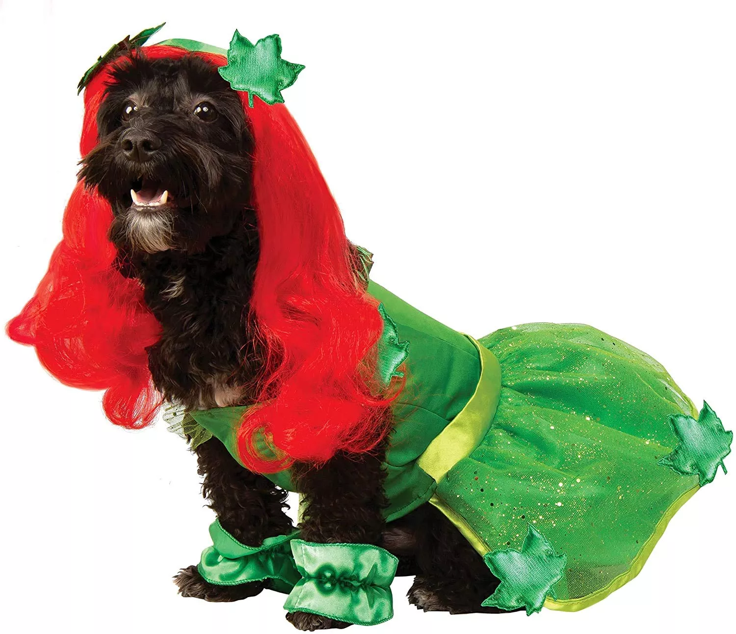 pets-dc-comics-poison-ivy-costume Pets DC Comics Poison Ivy Costume