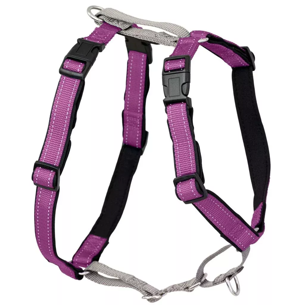 petsafe-3-in-1-dog-harness-with-car-control-strap-plum PetSafe 3-in-1 Dog Harness with Car Control Strap, Plum
