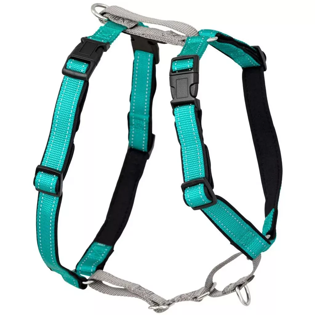 petsafe-3-in-1-dog-harness-with-car-control-strap-teal PetSafe 3-in-1 Dog Harness with Car Control Strap, Teal