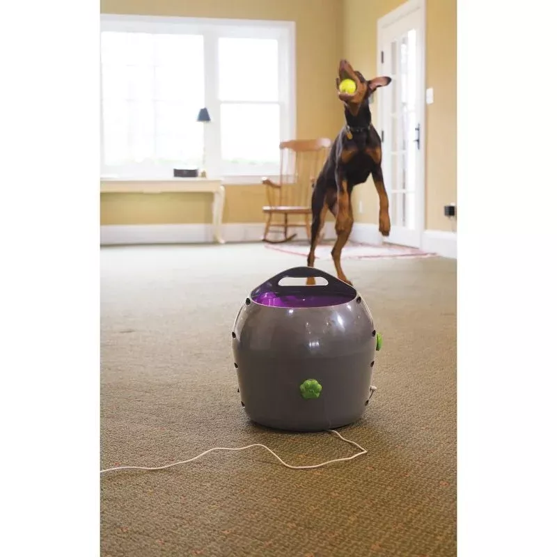 petsafe-automatic-ball-launcher-dog-toy PetSafe Automatic Ball Launcher Dog Toy
