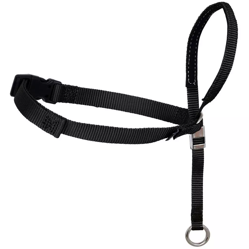 petsafe-gentle-leader-headcollar-dogs-black PetSafe Gentle Leader Headcollar for Dogs, Black