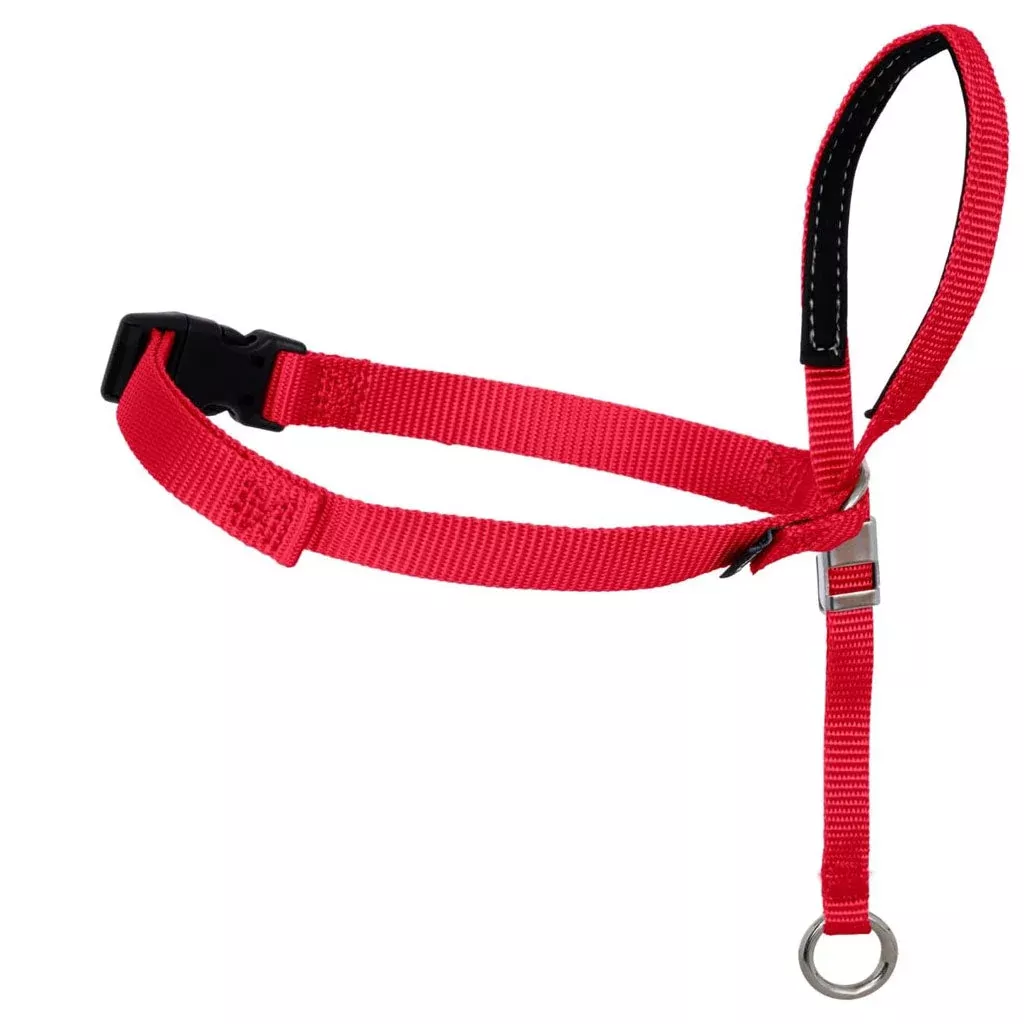 petsafe-gentle-leader-headcollar-dogs-red PetSafe Gentle Leader Headcollar for Dogs, Red