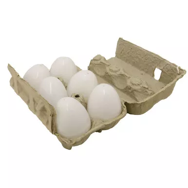 plastic-nest-eggs-chickens-hollow-6-pk Plastic Nest Eggs for Chickens - Hollow - 6 pk