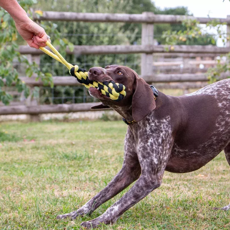 playtime-bumble-bee-ropey-plait-ancol-eco-friendly-dog-toy Playtime Bumble Bee Ropey Plait ANCOL Eco Friendly Dog Toy