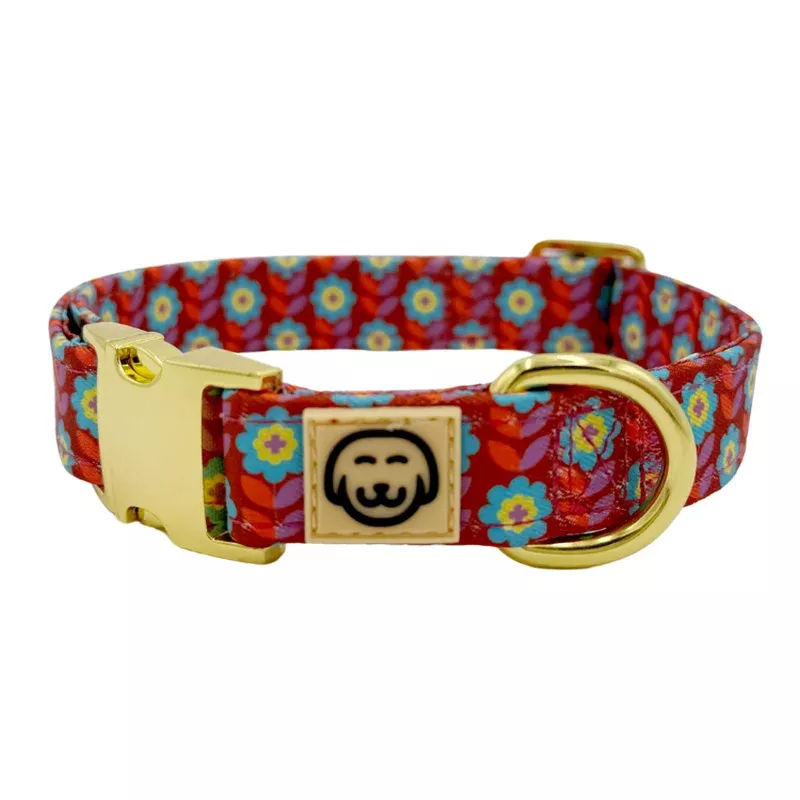 poppy-dog-collar Poppy – Dog Collar