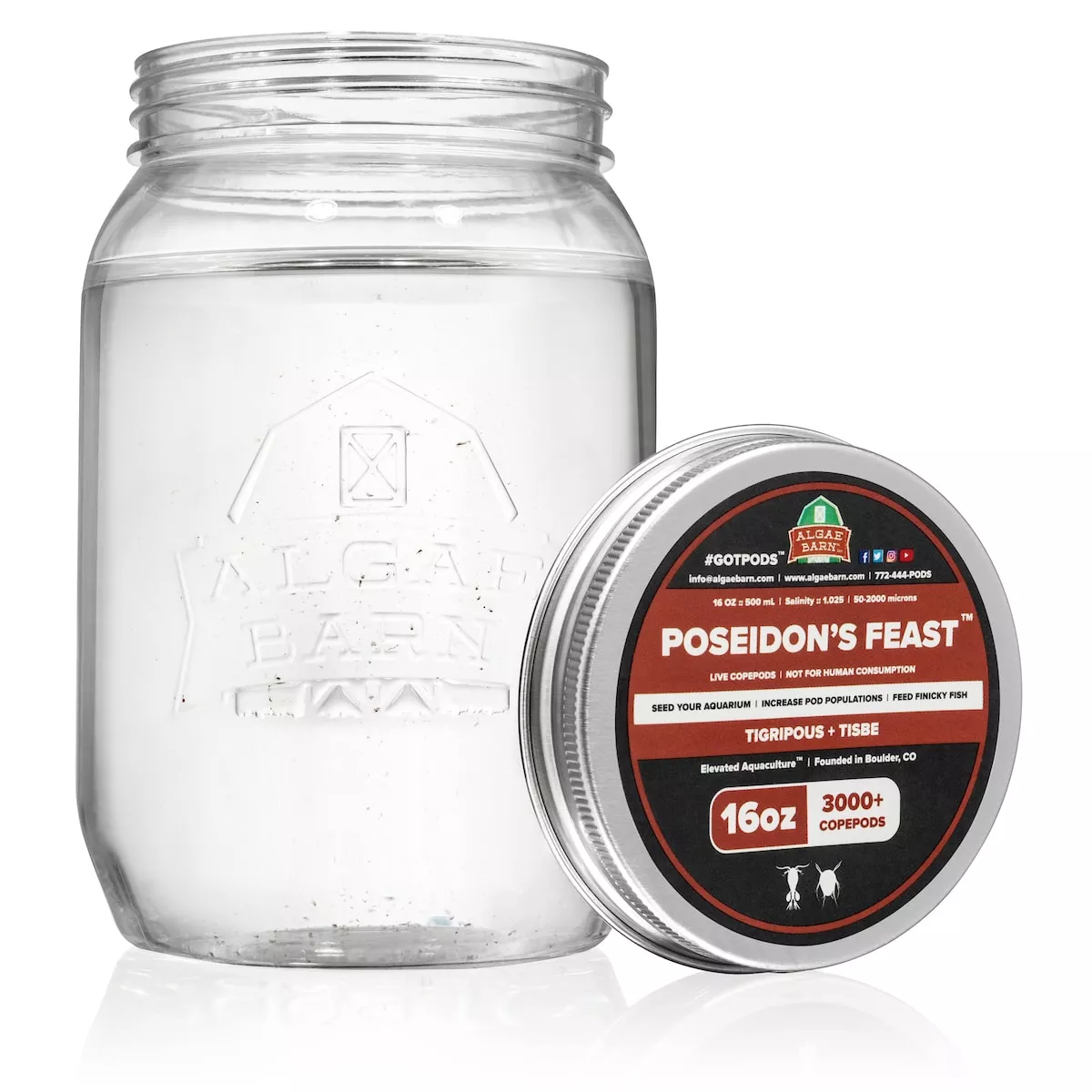 Poseidon’s Feast