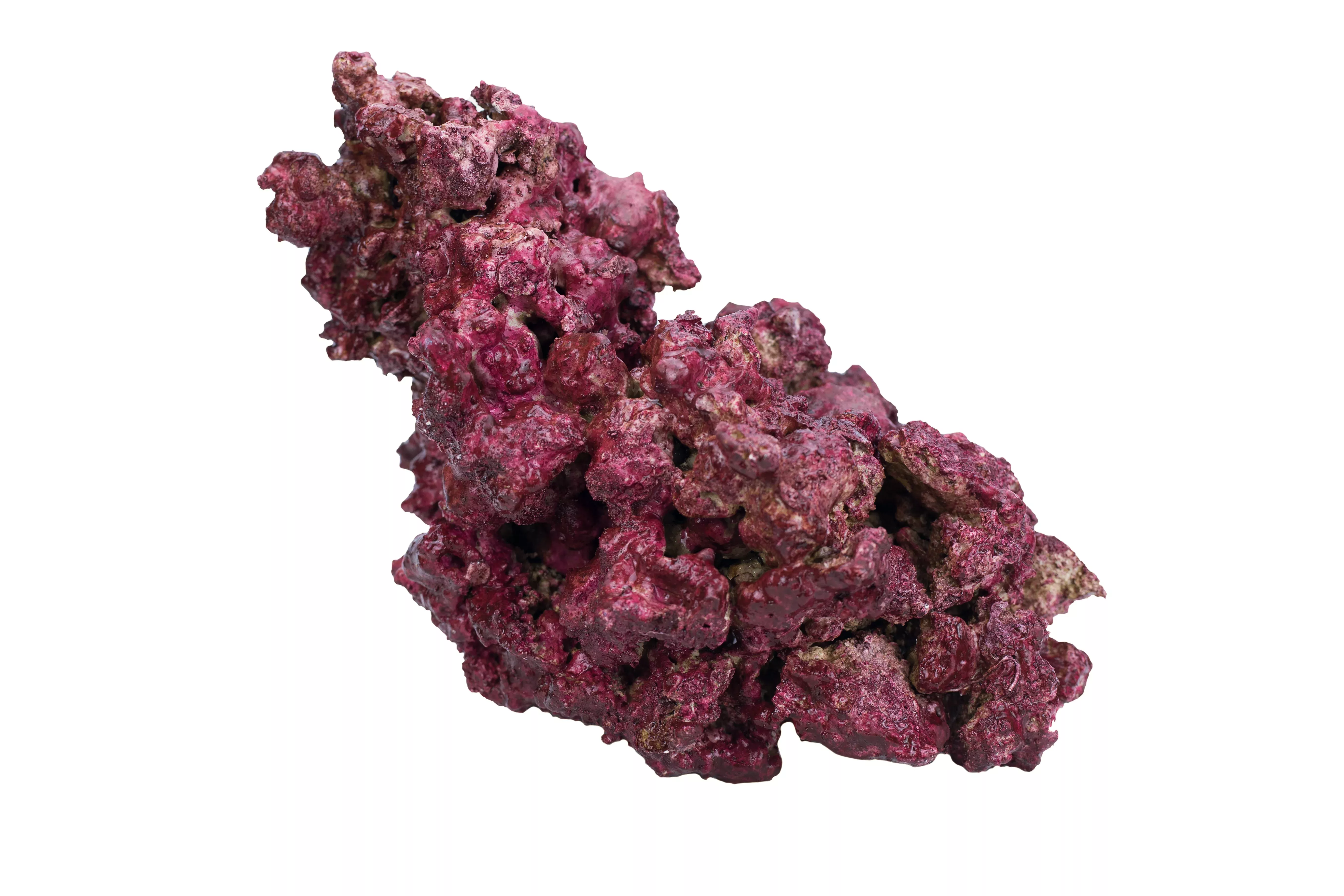 real-reef-dry-rock-5lb-box Real Reef DRY Rock - 5LB BOX