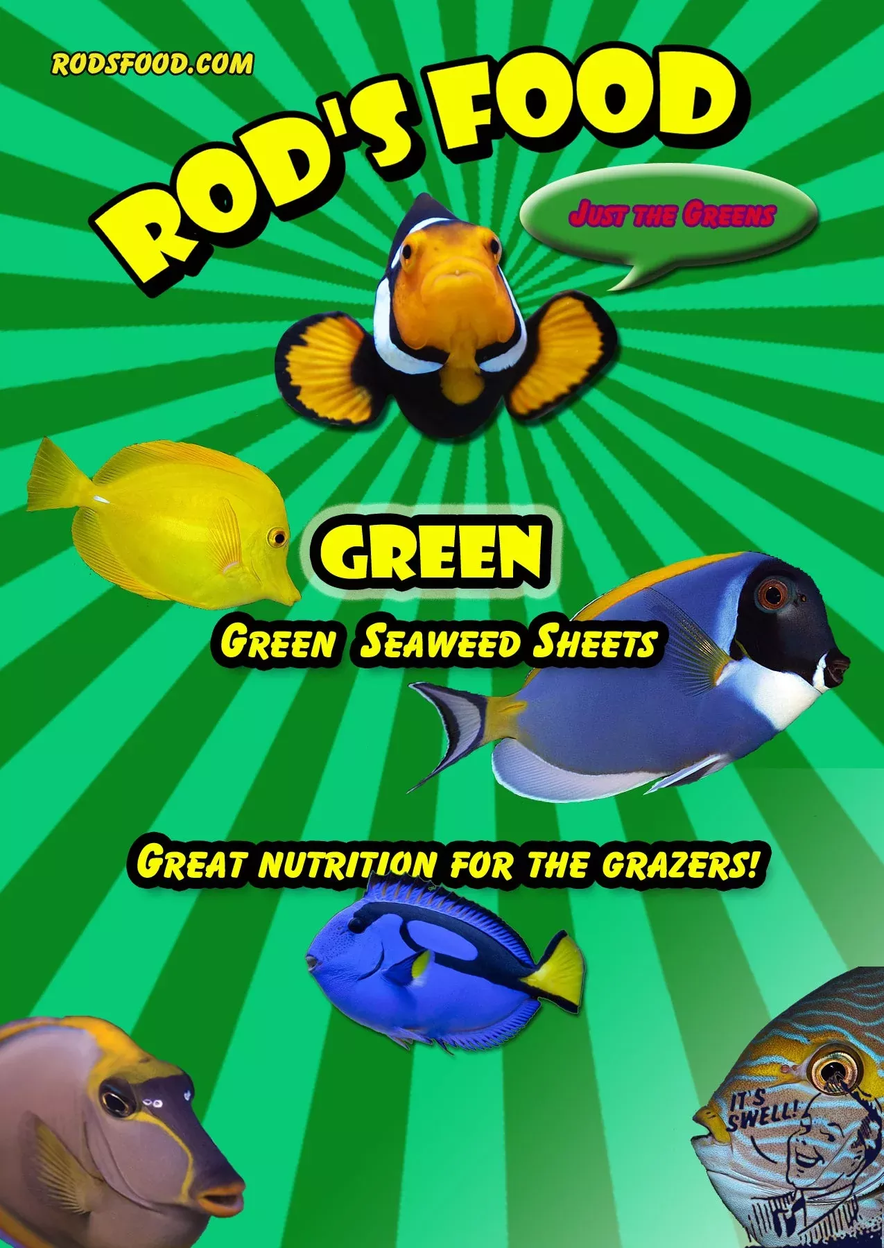 rod-s-food-seaweed-30gram-green Rod's Food Seaweed 30gram - Green