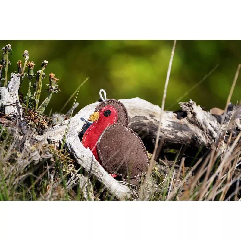 rodney-robin-aurora-paws-eco-dog-toy Rodney the Robin Aurora Paws Eco Dog Toy