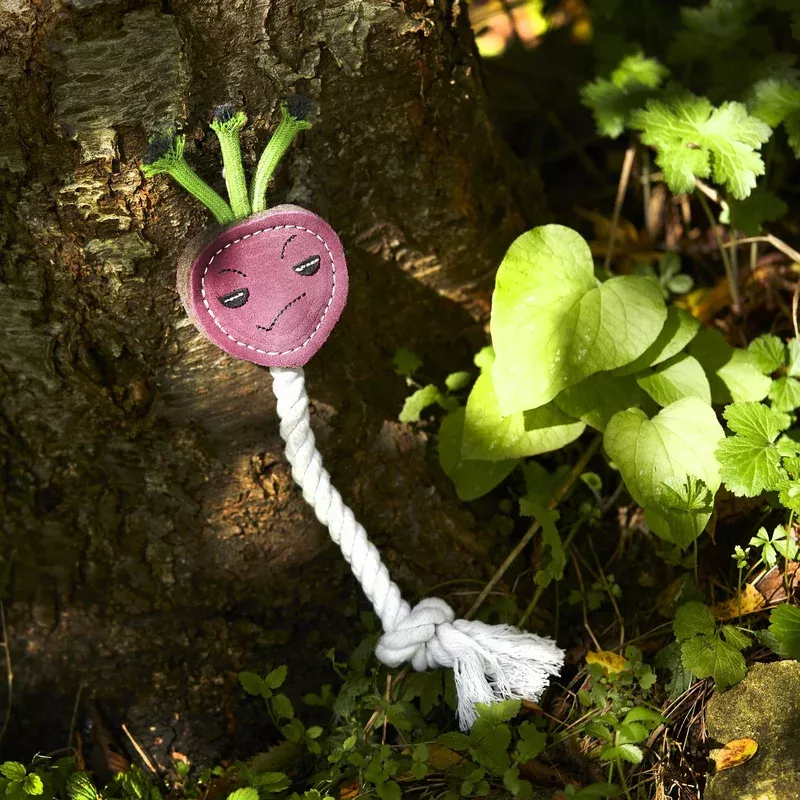 ruby-radish-green-wild-s-eco-dog-toy Ruby the Radish Green and Wild’s Eco Dog Toy