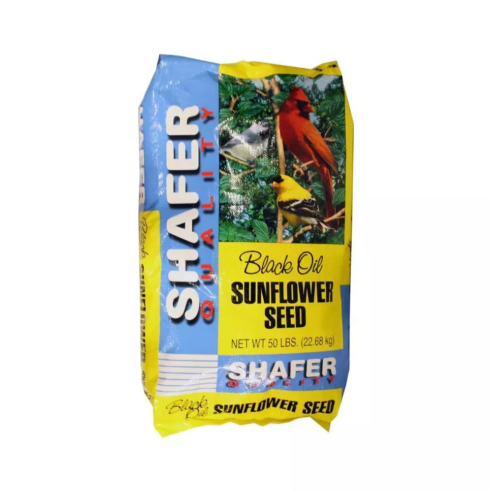 shafer-generic-black-oil-sunflower-seed Shafer - Generic Black Oil Sunflower Seed