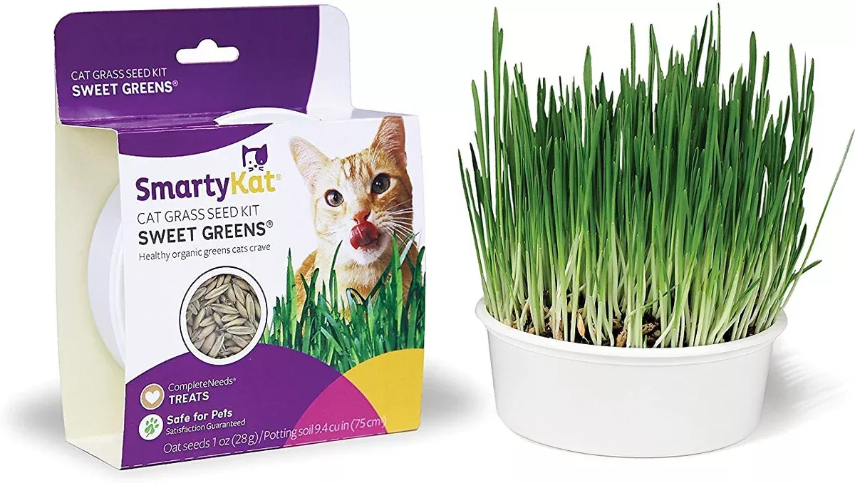 SmartyKat - Sweet Greens