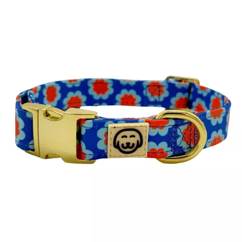 sorrento-dog-collar Sorrento – Dog Collar