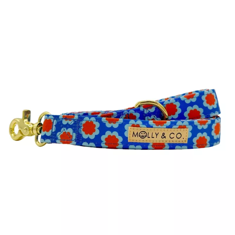 sorrento-dog-leash Sorrento – Dog Leash