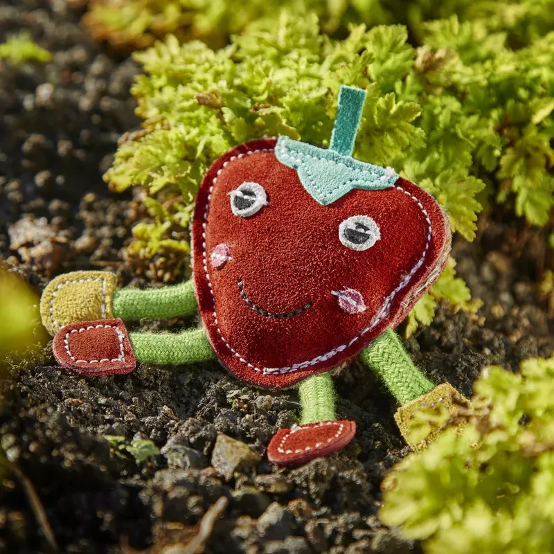 steve-strawberry-green-wilds-eco-dog-toy Steve the Strawberry Green and Wilds Eco Dog Toy